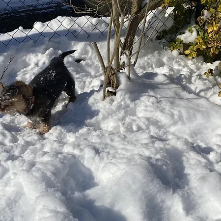 Casa Felicitas Und * Möhnesee