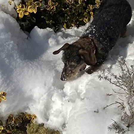 Casa Felicitas Und דירה Möhnesee