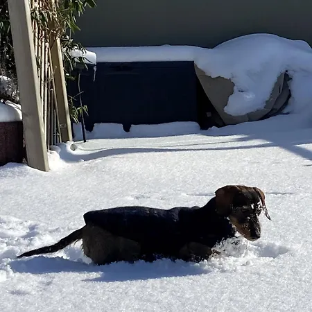 Casa Felicitas Und * Möhnesee