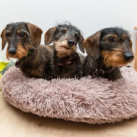 Casa Felicitas Und * Möhnesee