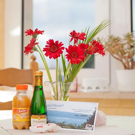 Casa Felicitas Und *