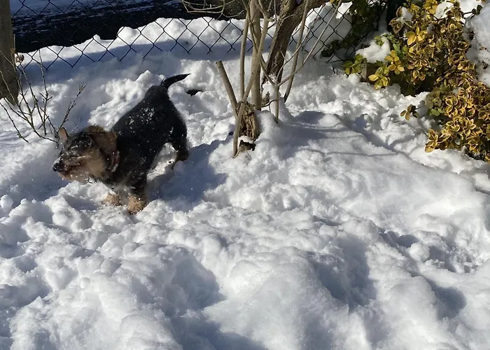 Casa Felicitas Und * Möhnesee