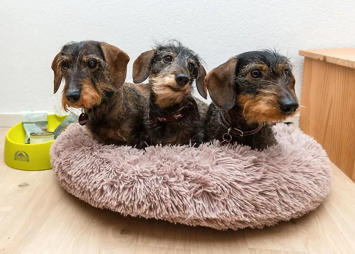 Casa Felicitas Und * Möhnesee